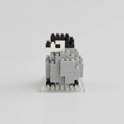 Baby Penguin mini building blocks model, detailed studio view