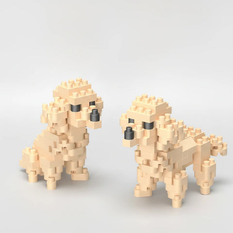 Toy Poodle Duo | Mini Building Blocks (dont publish)