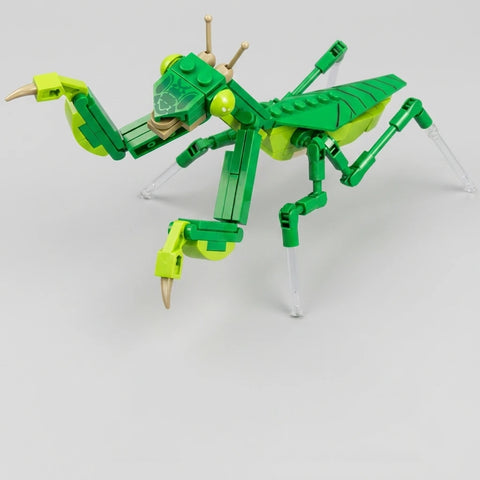 Praying Mantis Building Blocks Set | Detailed Insect Model (230 Pieces)